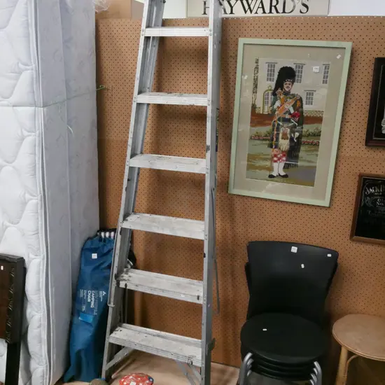 6 step aluminium ladder