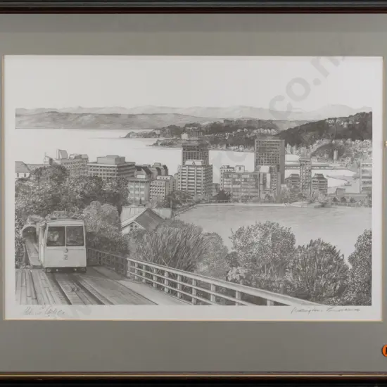 framed Peter G Leitch print "Wellington Panorama" H-270 W-390