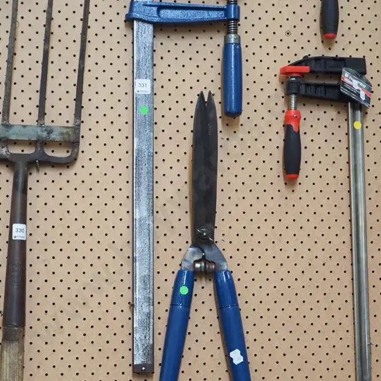 large  F clamp, hedge trimmers - green dots