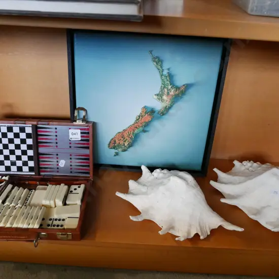 small games compendium, seashells, framed boxed canvas print of NZ