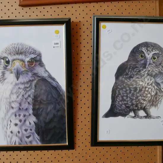 2x framed bird prints - yellow dots