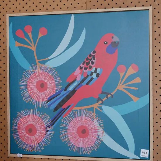 print on boxed canvas - budgie