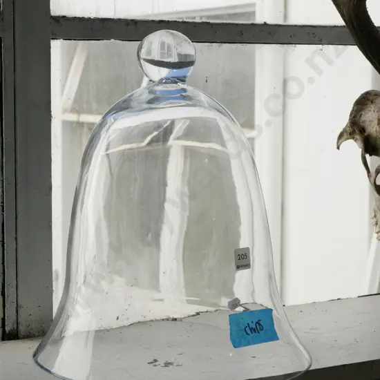 large glass bell shaped cover some H-390 - some chips to rim