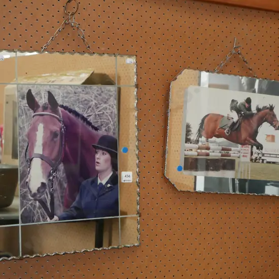 2x photographic mirrors - horses