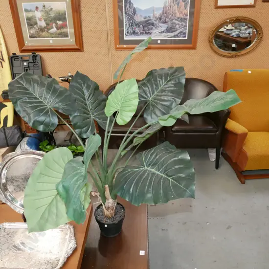 plastic indoor plant