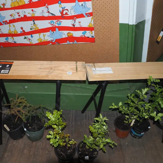 2x folding saw horses