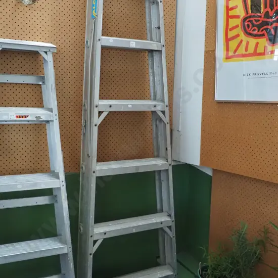 6 step aluminium ladder