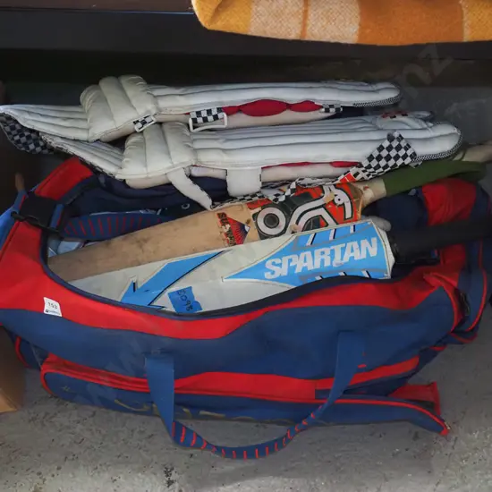 cricket gear bag and gear; bats, balls, pads etc
