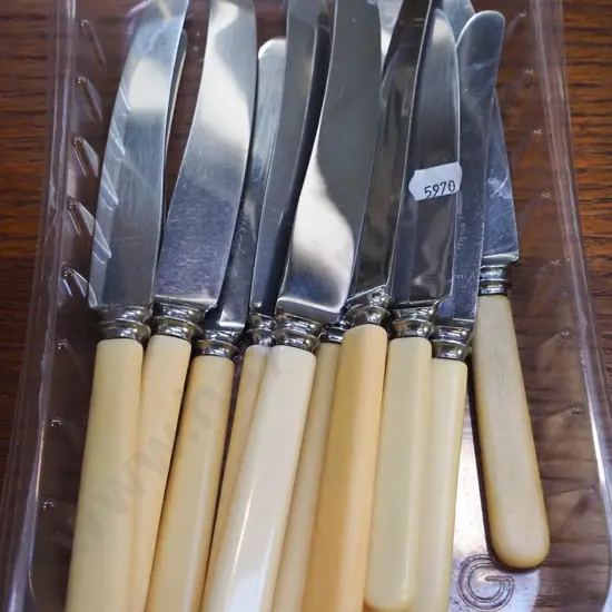 tray of bone handled knives