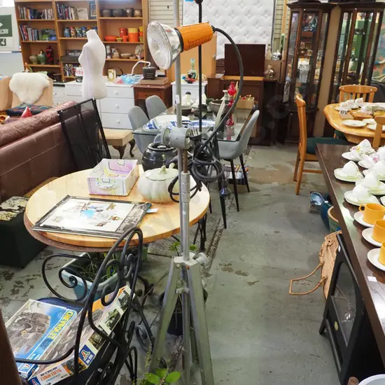 industrial mid-century twin bulb lights on tripod