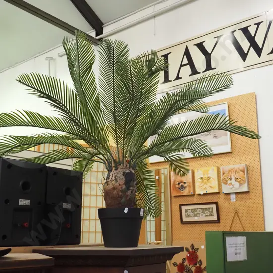 plastic cycad