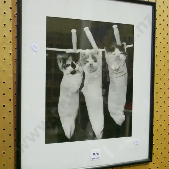 framed photo print - kittens in socks