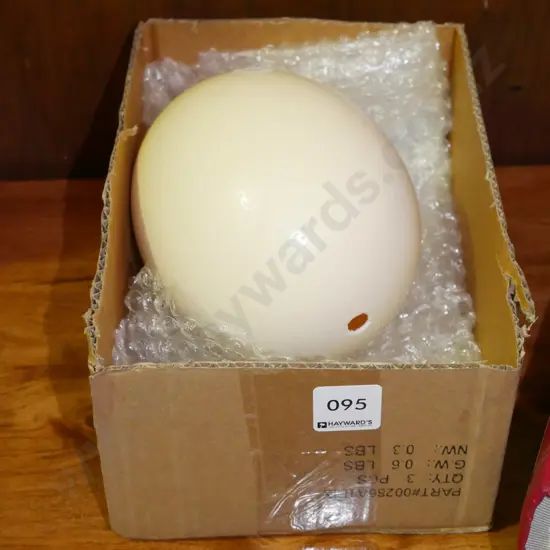 large ostrich egg