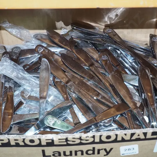 box of knives with dinosaur imprint on handles