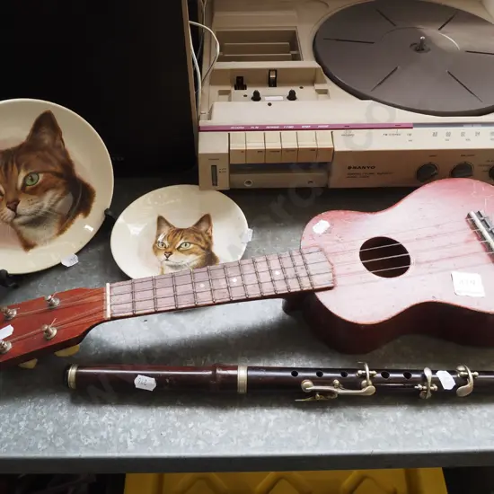 ukelele, part wooden flute, cat saucer and plate