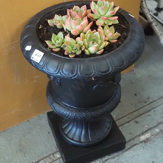 composite planter urn and succulents H-450