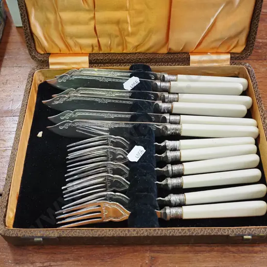 cased bone handed fish set