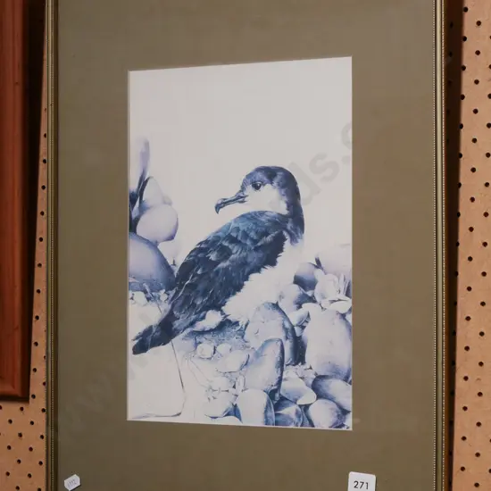 framed faded bird print 