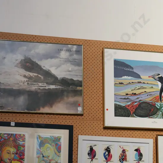 2x framed prints - yellow eyed penguin, Tawawera