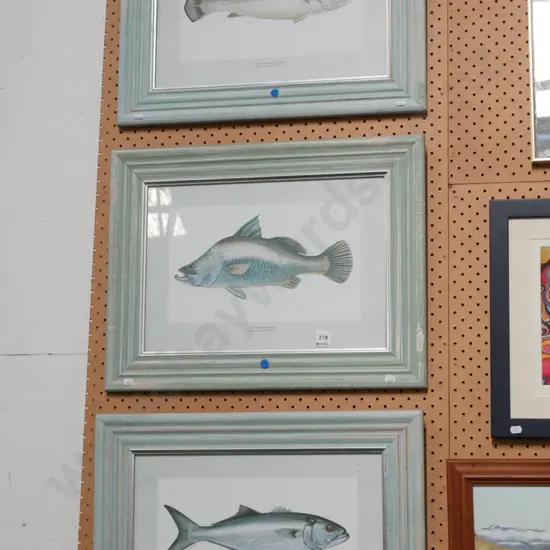 3x framed fish prints - blue dots