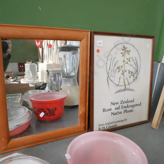 small wood framed mirror, framed NZ Rare and Endangered Native Plants print - red dots