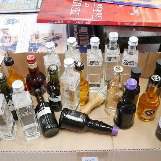 box of spirit miniatures