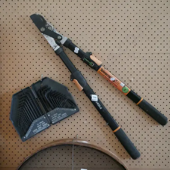 pair of telescopic pruners, allen key set