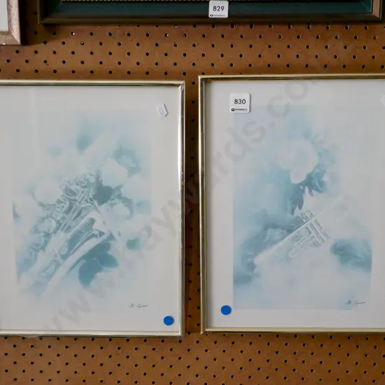 2x framed faded prints