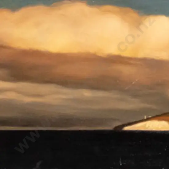 Philip Maxwell 2007 - boxed oil on canvas "Taiaroa Head Otago" H-200 W-1100