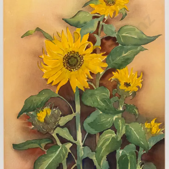 Brenda Shore 85, framed watercolour "Sunflowers" H-510 W-320