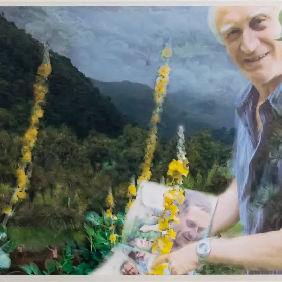 unsigned framed mixed media "Botanising with Kay 28 Dec 2004" H-160 W-220