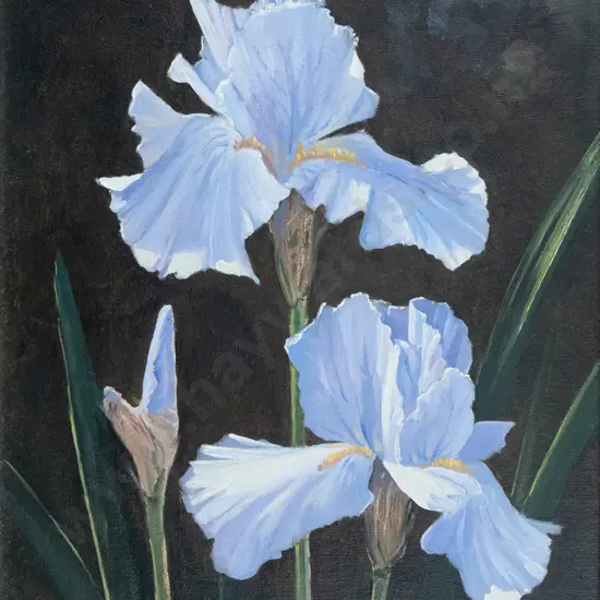 KJ Toomer - framed oil - irises H-3250 W-240
