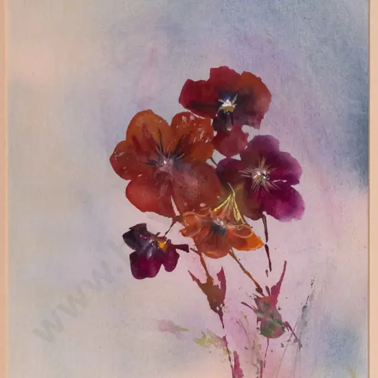 Ray Melhop - framed watercolour - flowers H-340 WS-230