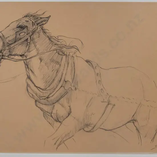 Simon Mouncey 2004 -framed charcoal on card -horse & harness H-300 W-460