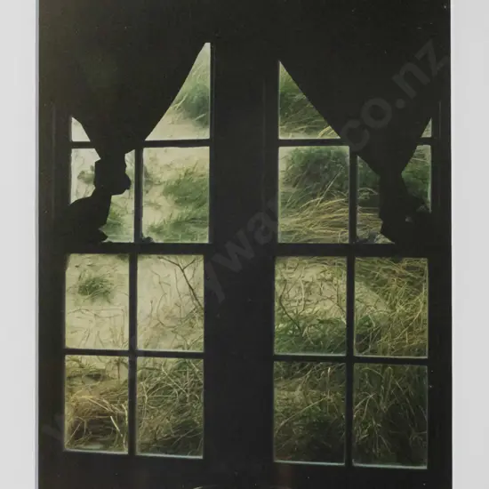 Liz Price 1998 - framed photographic print "Aramoana" H-120 W-140