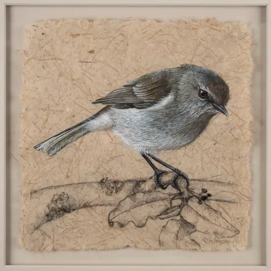 Rebecca Gilmore - framed acrylic and charcoal on flax paper - grey warbler/riroriro? H-180 W-180