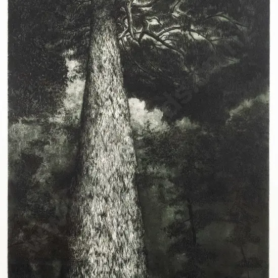 Denise (Dee) Copland '99 - framed etching "Indigenous III" H-640 W-450