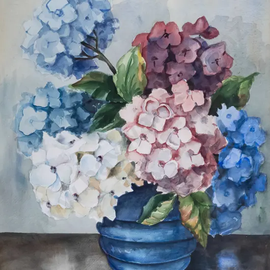 Florence Luxford - framed watercolour - hydrangeas H-475 W-370