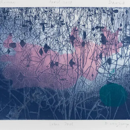 illegible signature April 2013  - framed ltd edition print A/P "Lotus Pool - For Rodney..." H-170 W-220