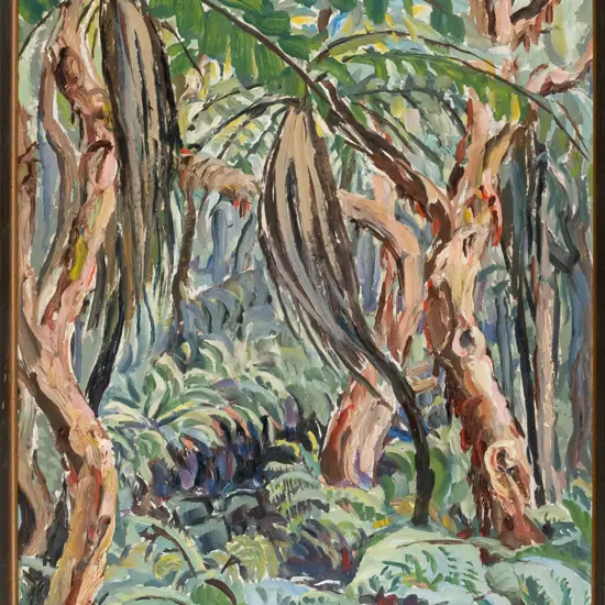 Eana B Jeans - framed oil "NZ Forest Nursery" H-440 W-340