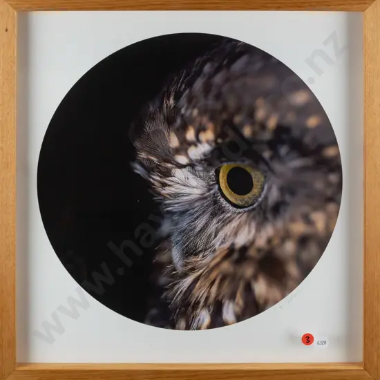 Derek Morrison 2022 - framed photograph 1/10 - bird's eye Diam - 340