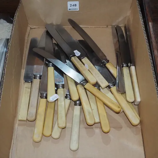 box; bone handled knives - poor condition