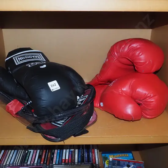2x pairs of boxing gloves