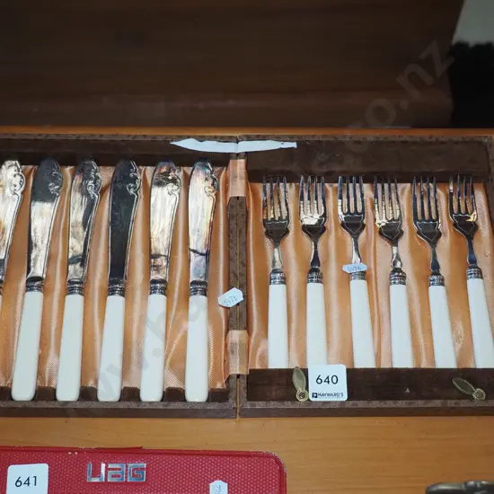 cased bone handled fish set