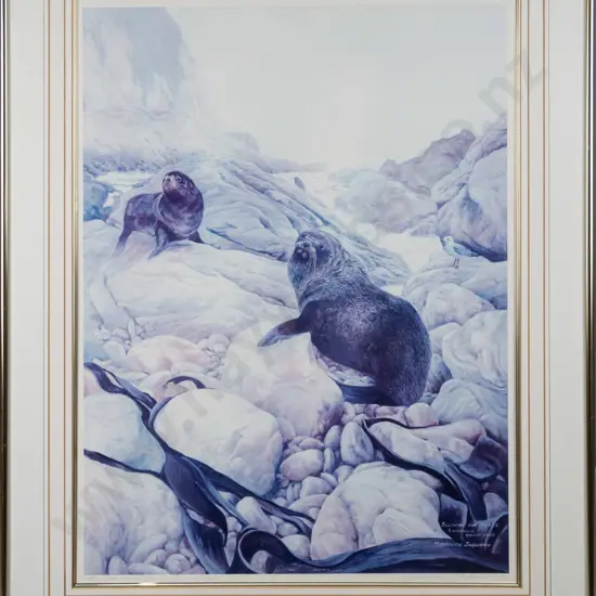 framed Merrilyn Jaquiery ltd edition print 45/350 "New Zealand Fur Seals" H-680 W-500