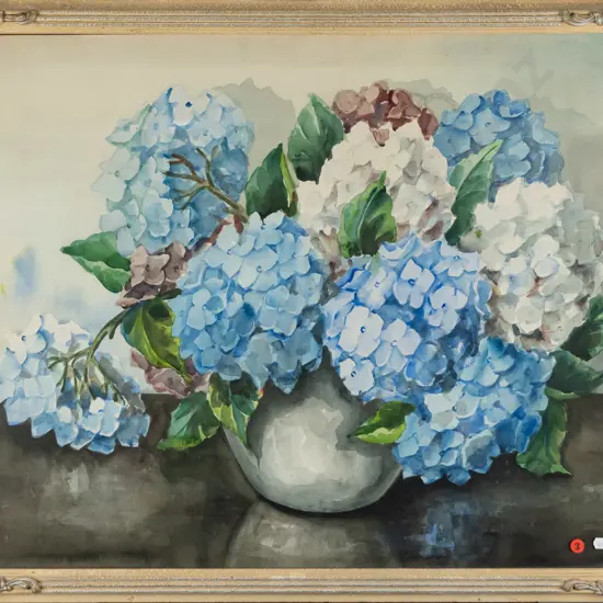 unsigned watercolour - hydrangeas H-540 W-660