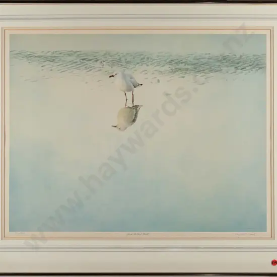 framed signed Raymond Ching ltd edition print 202/850 "Red Billed Gull" H-460  W-600
