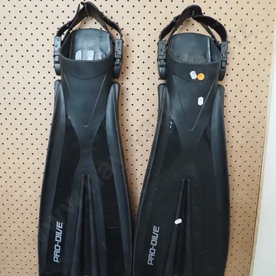 pair of Pro Dive fins