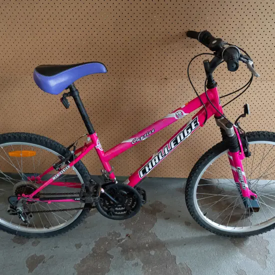 Pink 'Challenge' Bike