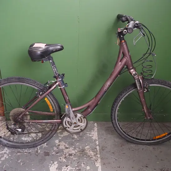 Giant Branded Bicycle